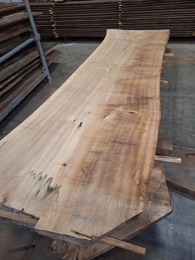 Schaaldelen  boomstamplanken ruime keuze div. houtsoorte, Ophalen, Nieuw, Hout