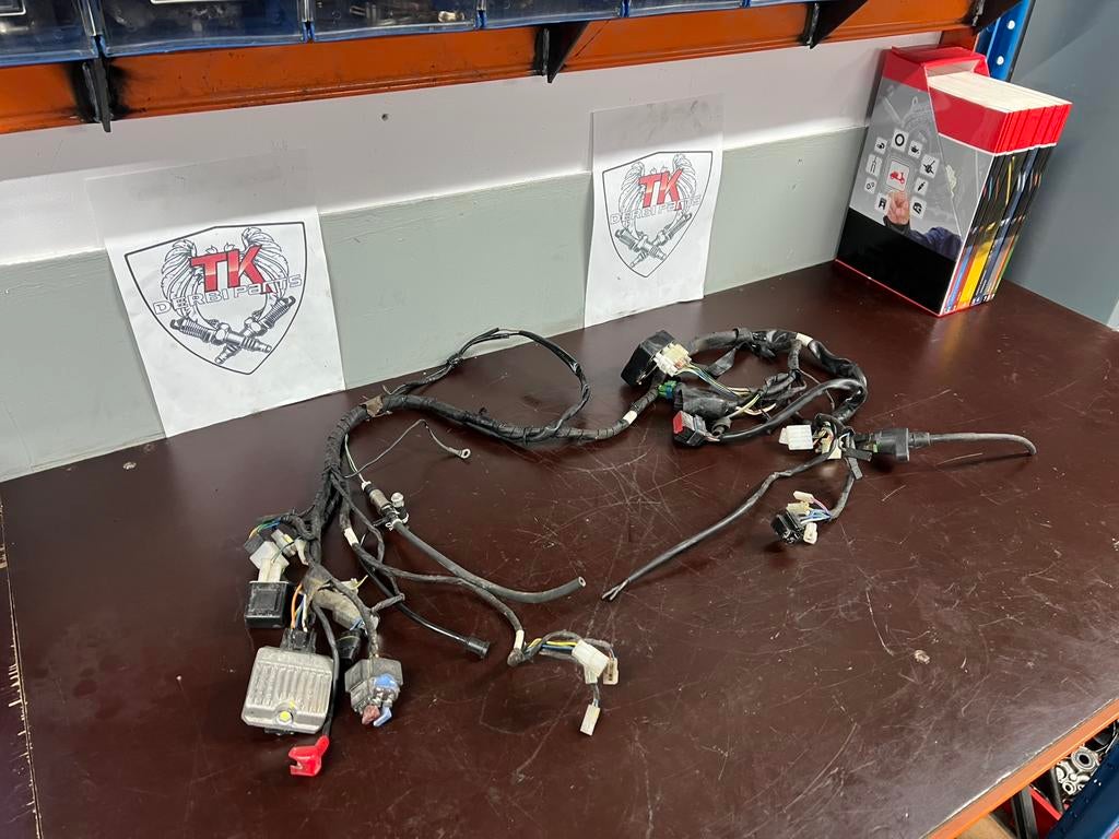 Derbi/aprilia euro 4 kabelboom, Fietsen en Brommers, Gebruikt, Overige typen, Ophalen of Verzenden, Nvt