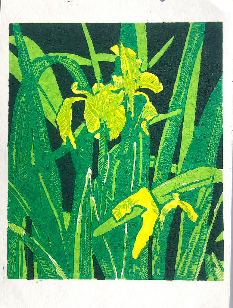 Lino “Lissen”, Ophalen of Verzenden
