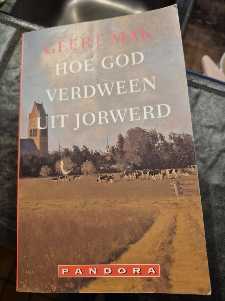 Geert Mak - Hoe God verdween uit Jorwerd, Ophalen of Verzenden, Zo goed als nieuw, Geert Mak