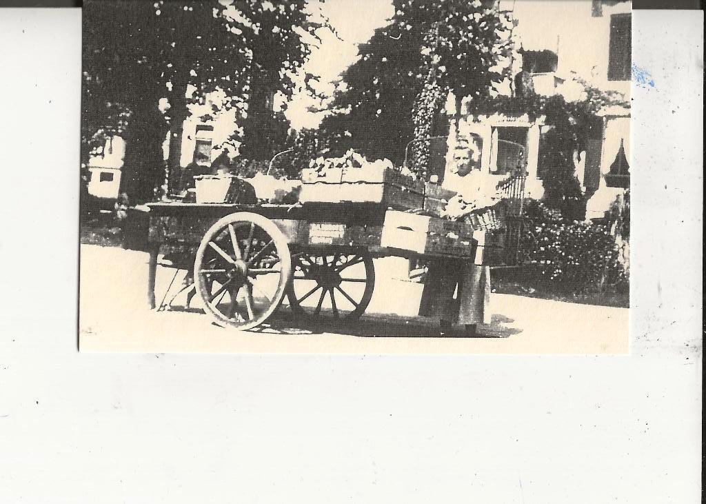 Dordrecht Bloemenhandel S A Berger 1910, Ophalen of Verzenden, Voor 1920, Ongelopen, Zuid-Holland
