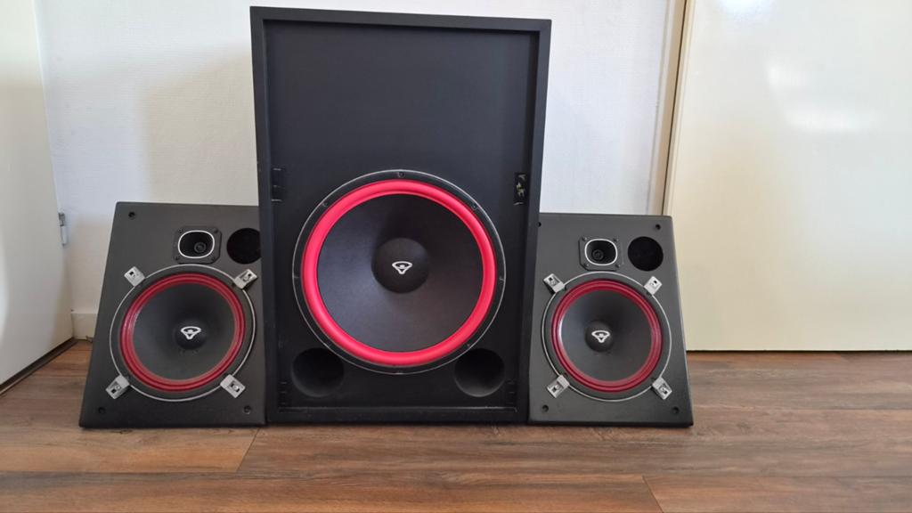 Cerwin Vega PB15 Uniek., Audio, Tv en Foto, Ophalen of Verzenden, Overige merken