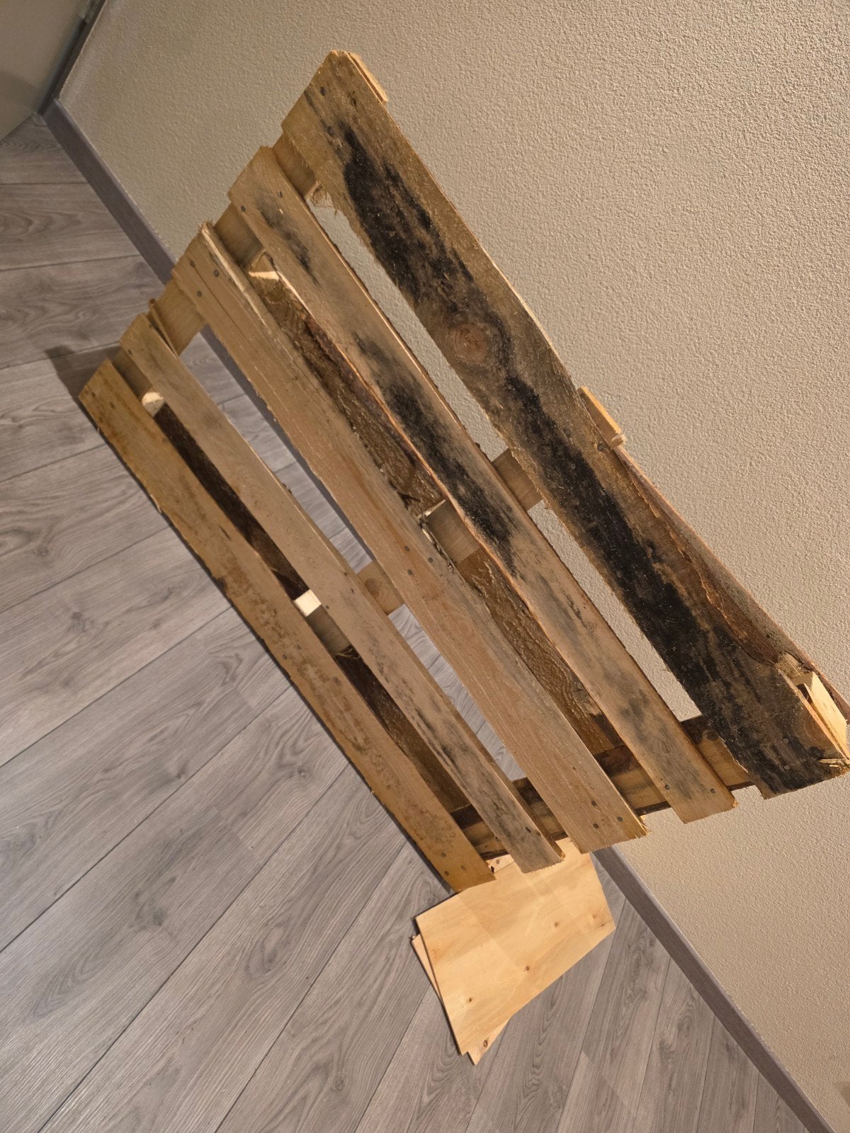 GRATIS Pallet, Doe-het-zelf en Verbouw, Hout en Planken, Pallet, Minder dan 200 cm, Minder dan 25 mm, Ophalen