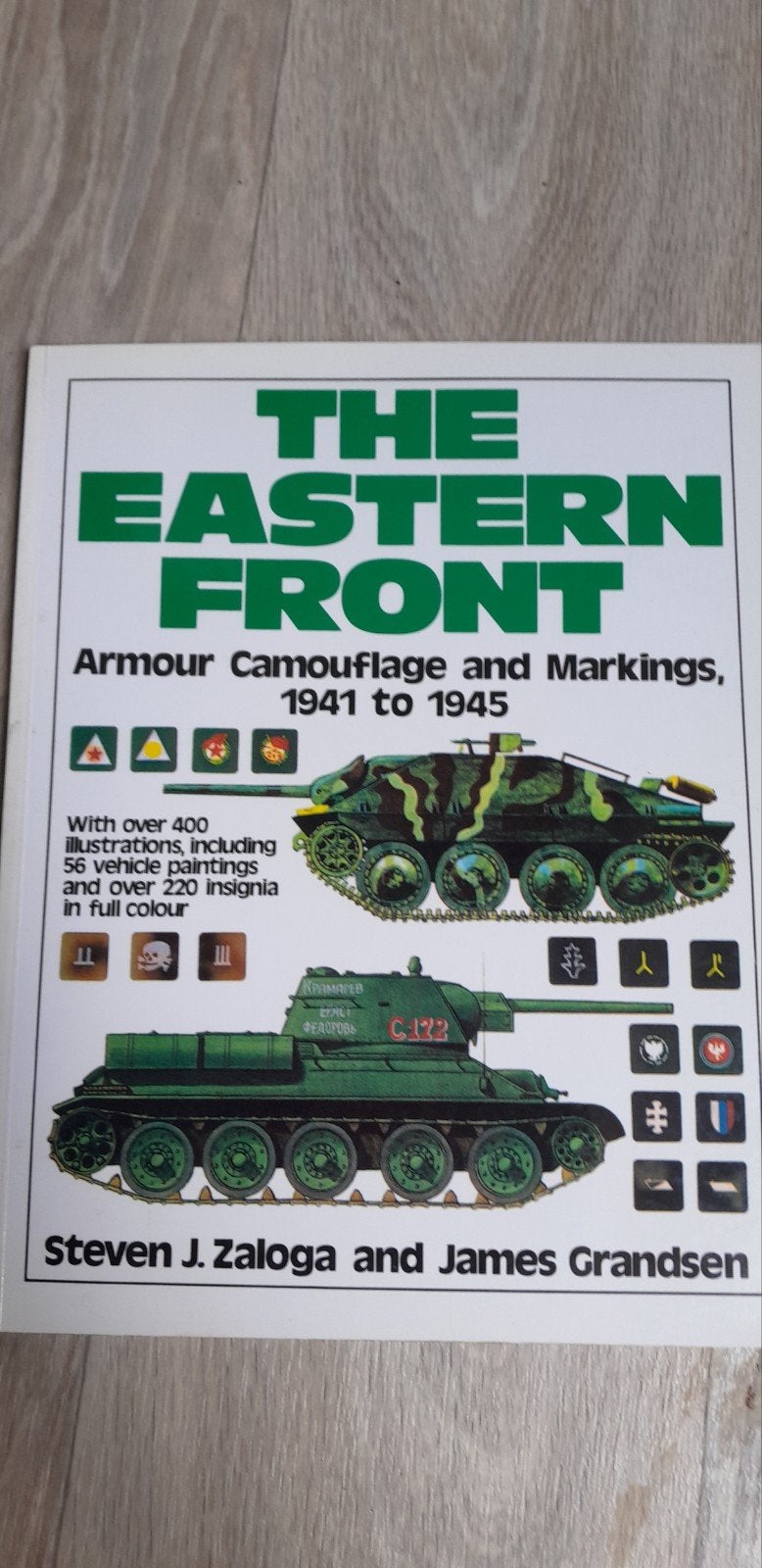 The Eastern front, Ophalen of Verzenden, Groter dan 1:32