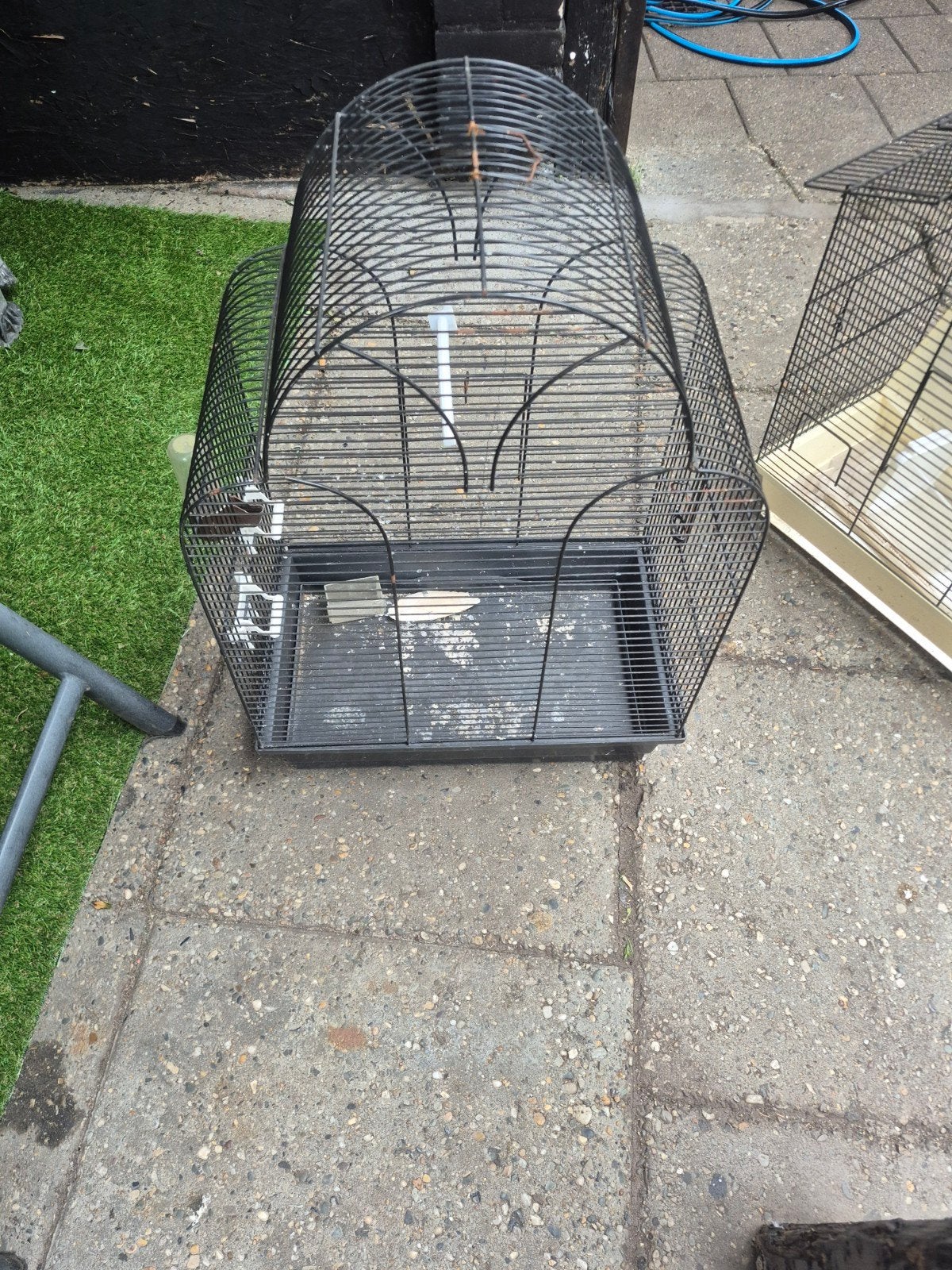 Vogel kooien los te koop, Ophalen of Verzenden, Minder dan 65 cm
