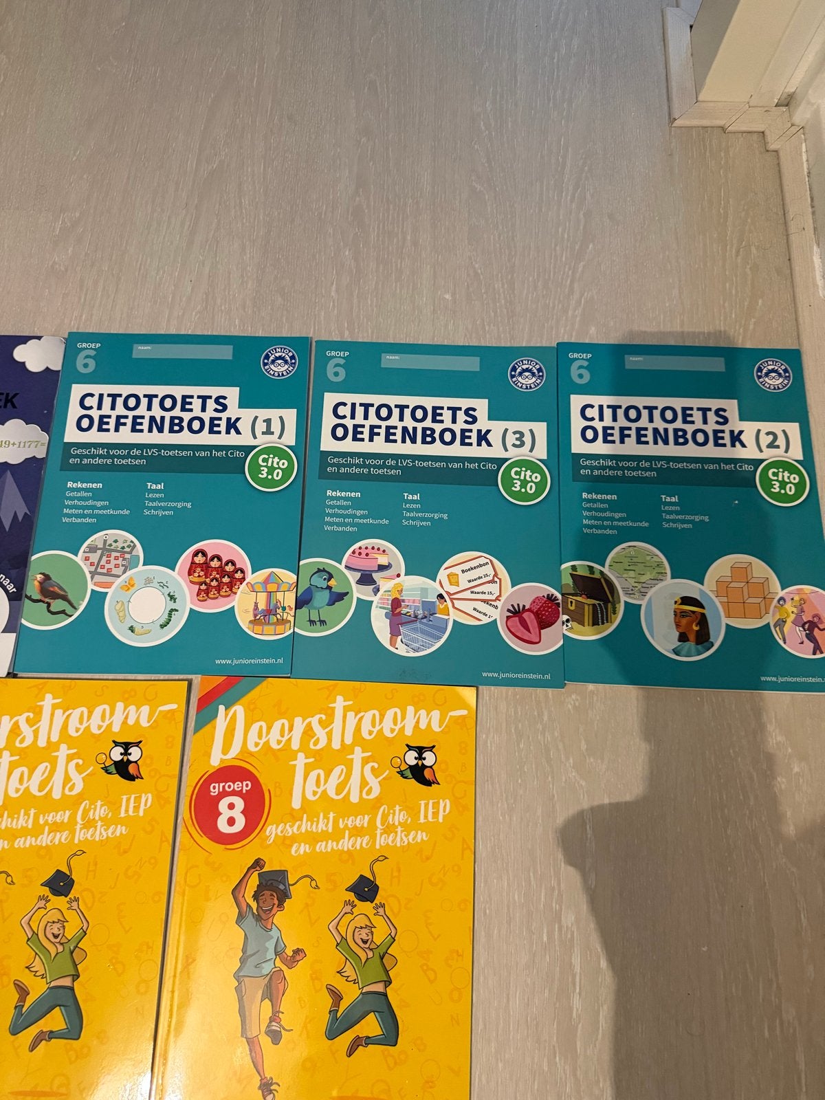 Citotoets Oefenboeken Groep 6, Boeken, Schoolboeken, Ophalen of Verzenden, Gelezen, VMBO, Nederlands