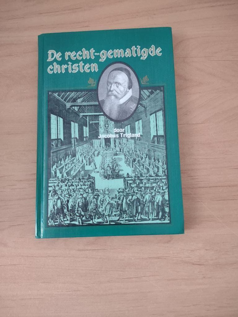 De recht-gematigde christen- Jacobus Trigland, Ophalen of Verzenden, Gelezen, Christendom | Protestants