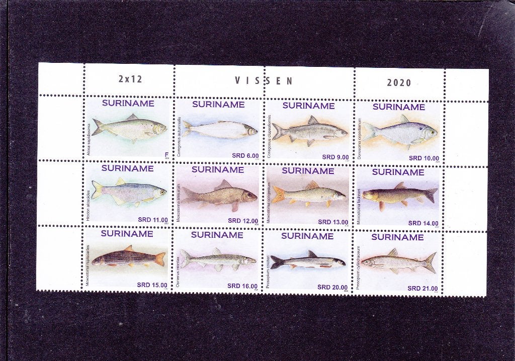 Suriname 2597/2606 Vissen (1176), Verzenden, Postfris