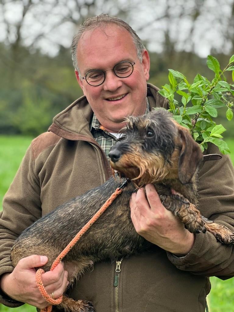 Standaard Ruwhaar Wildkleur Teckelpups, Dieren en Toebehoren, Honden | Teckels en Dashonden, Standaard, 8 tot 15 weken, Meerdere
