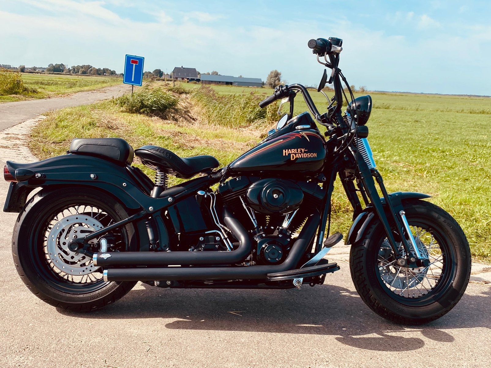 Schitterende Harley Davidson FLSTSB Crossbones NL 5HD ‘08, Motoren, Motoren | Harley-Davidson, 2 cilinders, Occasion, Particulier