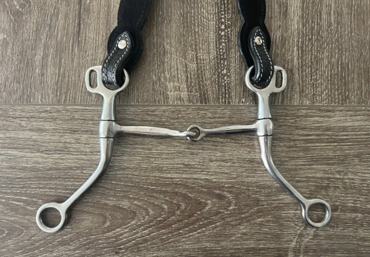 Western shank 14.5cm enkel gebroken, Dieren en Toebehoren, Paarden en Pony's | Hoofdstellen en Tuigage, Zilver, Ophalen of Verzenden