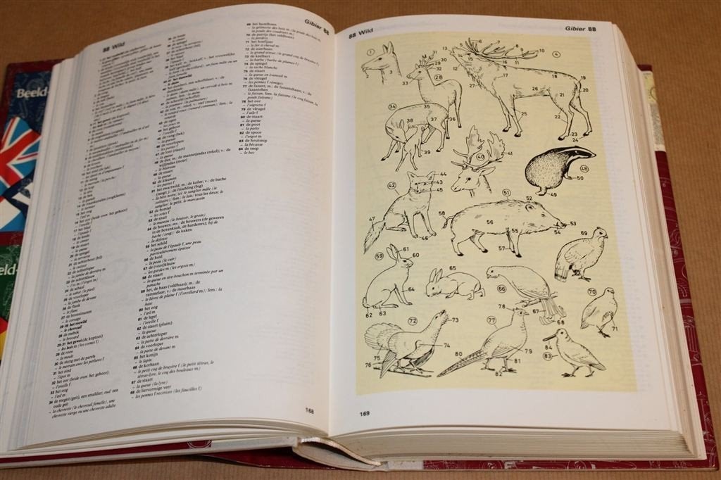 Wolters\' Beeldwoordenboek Frans-Nederlands — Thematisch, Ophalen of Verzenden, Gelezen, Van Dale, Frans