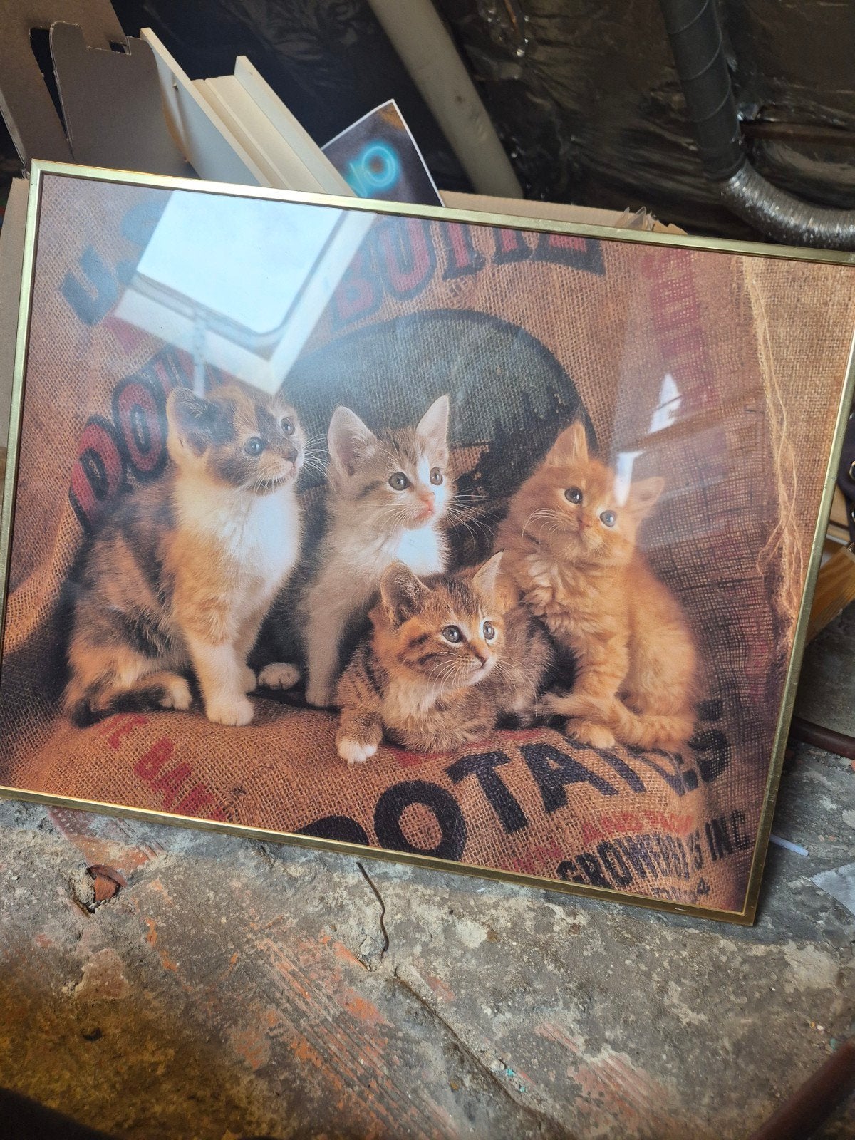 Vintage katten fotolijst nieuw, Minder dan 50 cm, Nieuw, Ophalen of Verzenden, Minder dan 50 cm