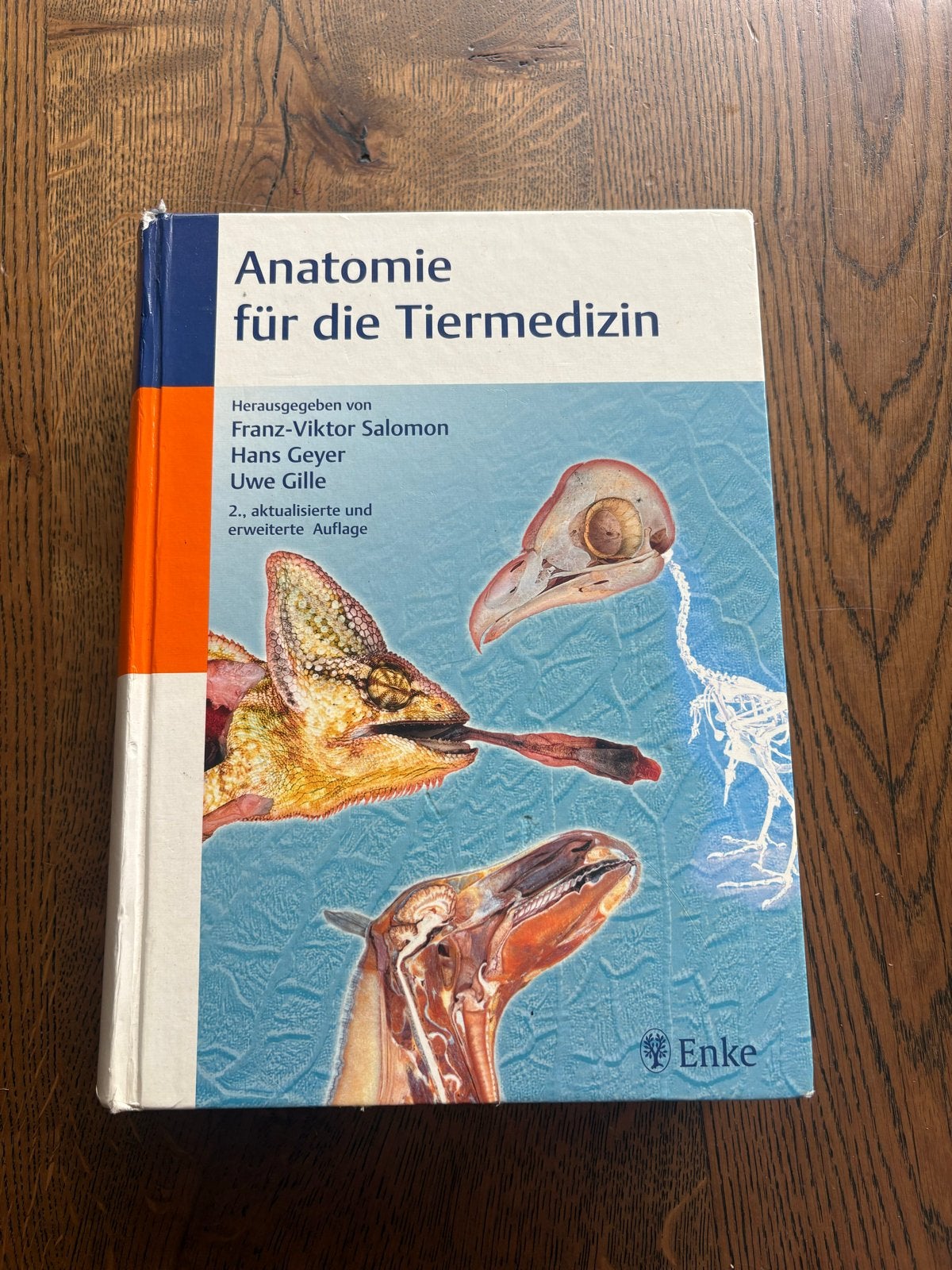 Anatomie für die Tiermedizin - Salomon, Geyer & Gille, Ophalen of Verzenden, Beta, Gelezen, Niet van toepassing