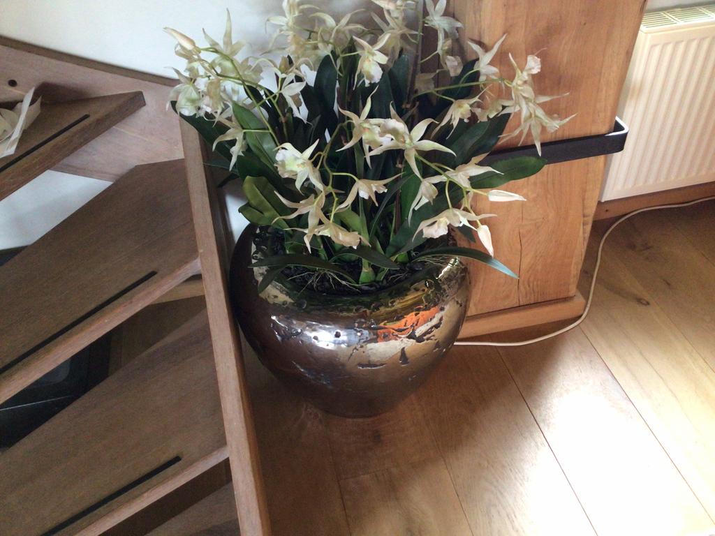 Kunsstof plant in zilveren pot, Tuin en Terras, Planten | Tuinplanten, Ophalen, Overige soorten, Volle zon