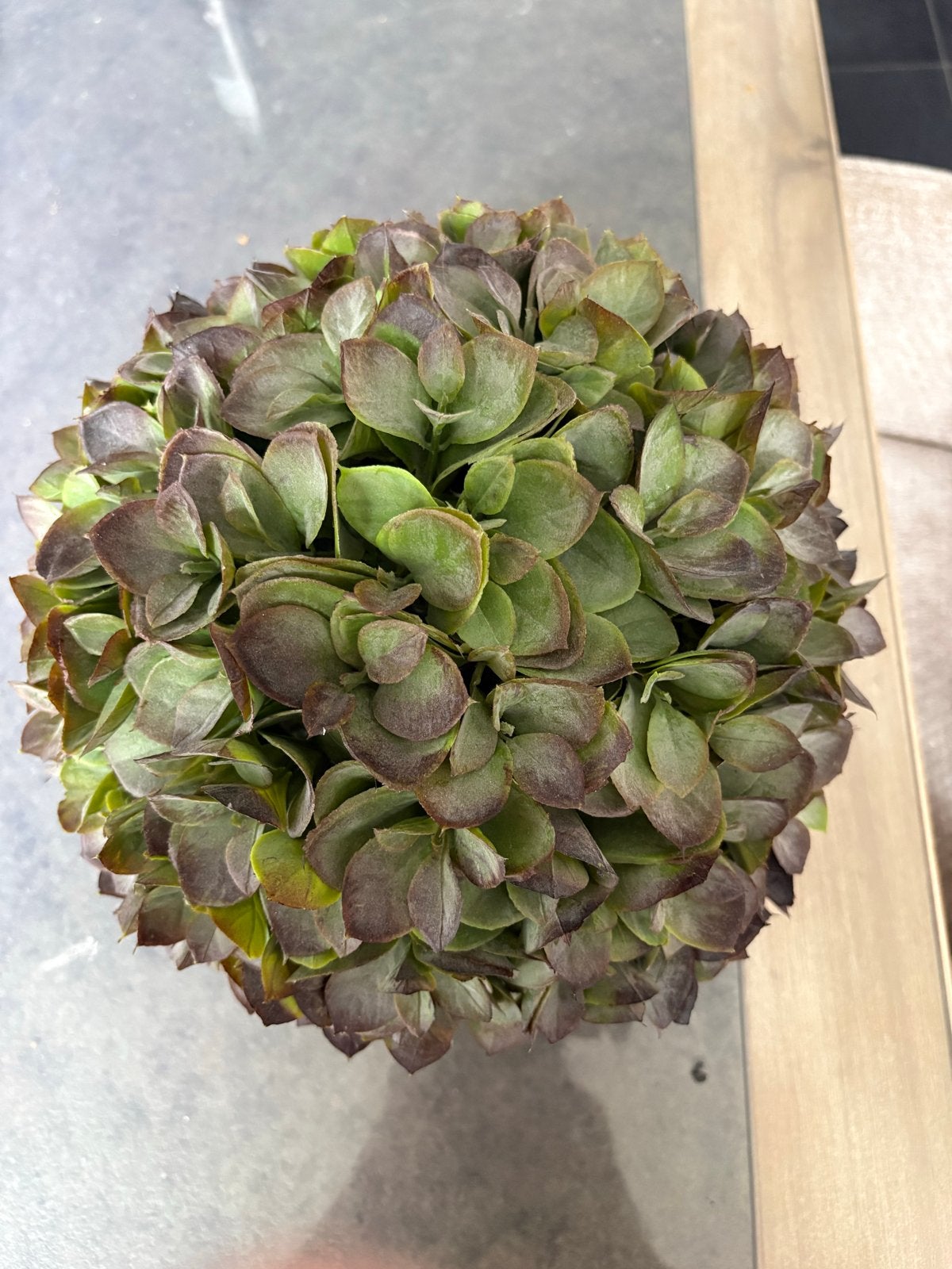 Kunstplant bol - Groen/Bruin, Ophalen, Binnen, Kunstplant, Kunststof