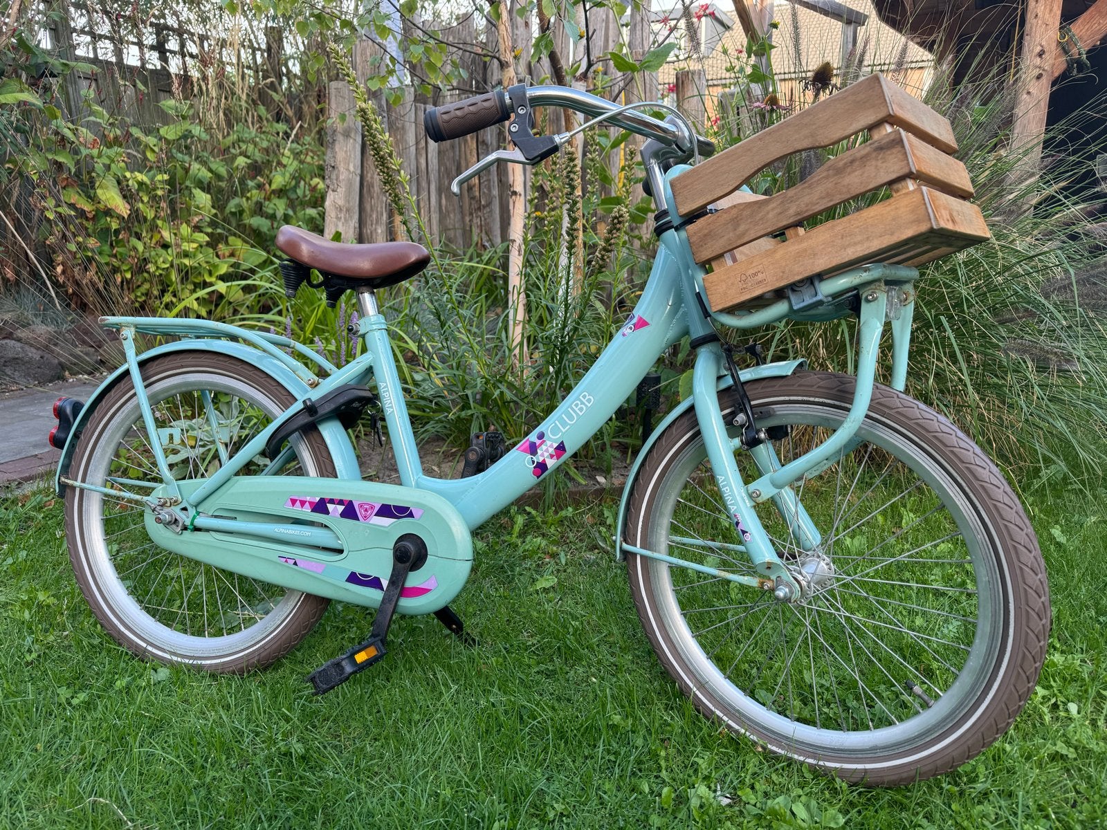 Alpina Clubb 20 inch met kratje, Fietsen en Brommers, Terugtraprem, Gebruikt, Ophalen of Verzenden, Handrem