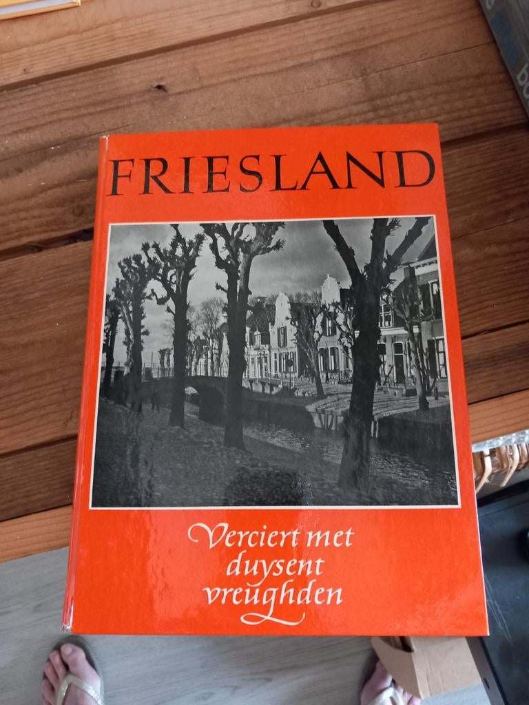 Friesland: Verciert met duysent vreughden, Boeken, Geschiedenis | Stad en Regio, Ophalen of Verzenden, Gelezen