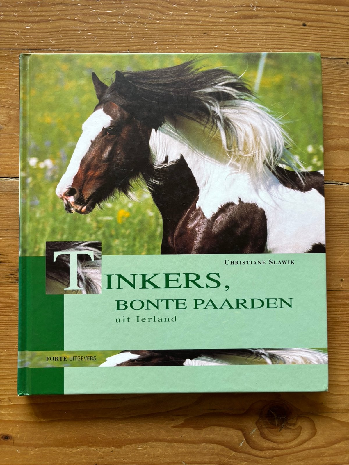 Tinkers, bonte paarden uit Ierland - C Slawik, Boeken, Ophalen of Verzenden, Gelezen, Paarden of Pony's