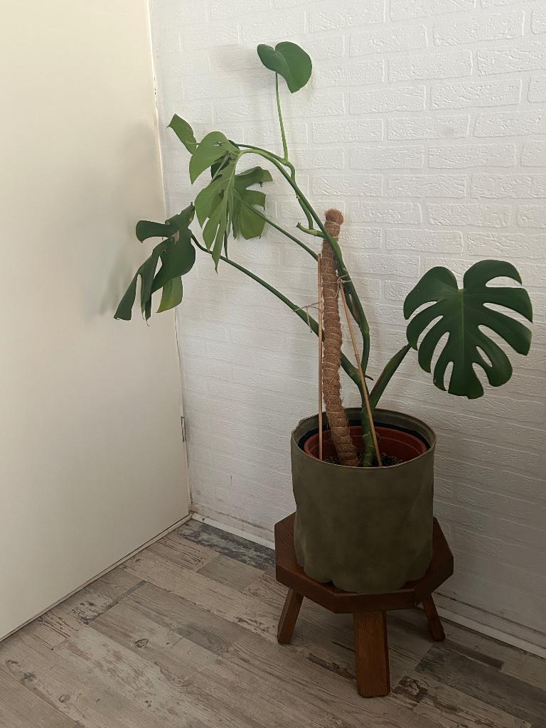Planten tafeltje, Huis en Inrichting, Tafels | Bijzettafels, Ophalen, Minder dan 45 cm, Minder dan 55 cm, Zo goed als nieuw