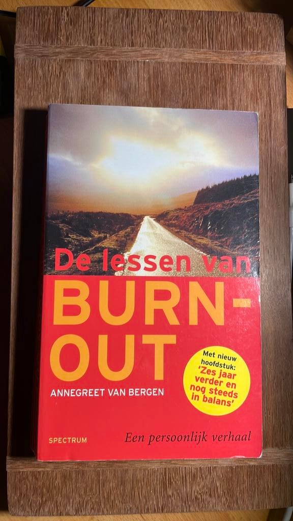 A. van Bergen - De lessen van burn-out, Ophalen of Verzenden, Zo goed als nieuw, A. van Bergen