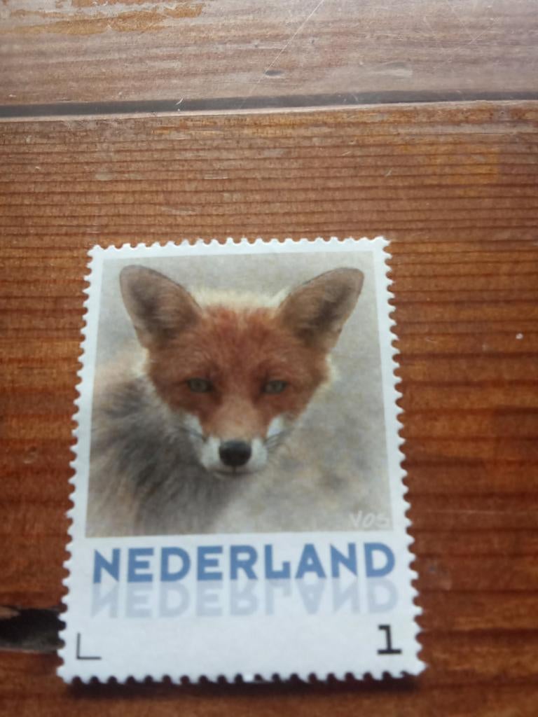 Vos, Ophalen of Verzenden