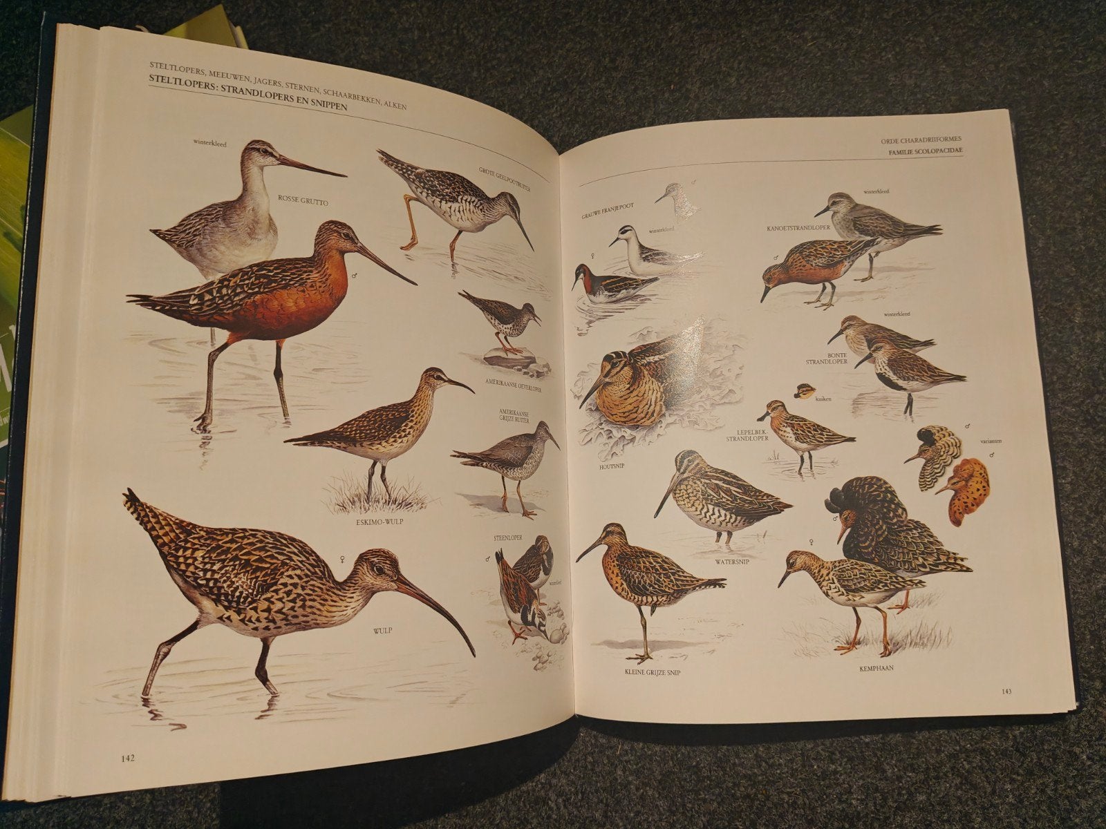 Geïllustreerde encyclopedie van de vogels, Ophalen of Verzenden