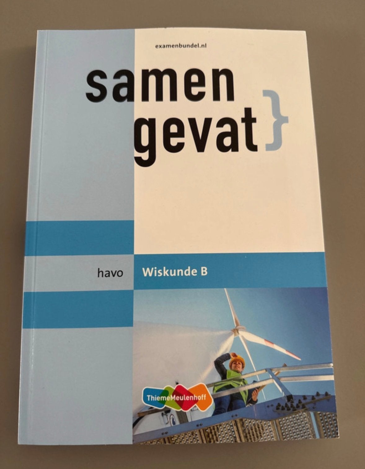 Samengevat Havo Wiskunde B, Boeken, Schoolboeken, Ophalen of Verzenden, Zo goed als nieuw, HAVO, Wiskunde A