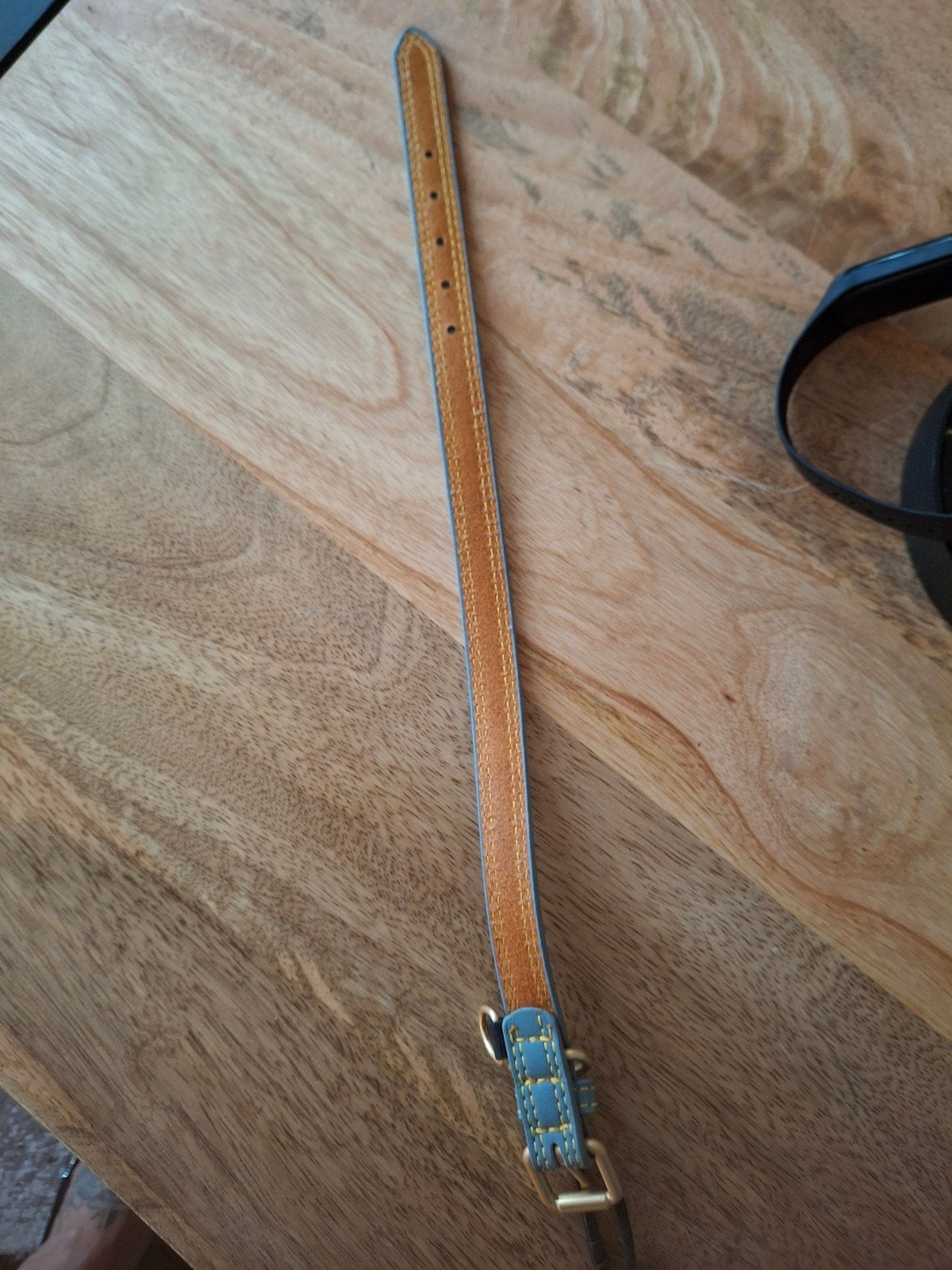 nieuwe honden halsband 38 cm, Dieren en Toebehoren, Ophalen of Verzenden, Nieuw