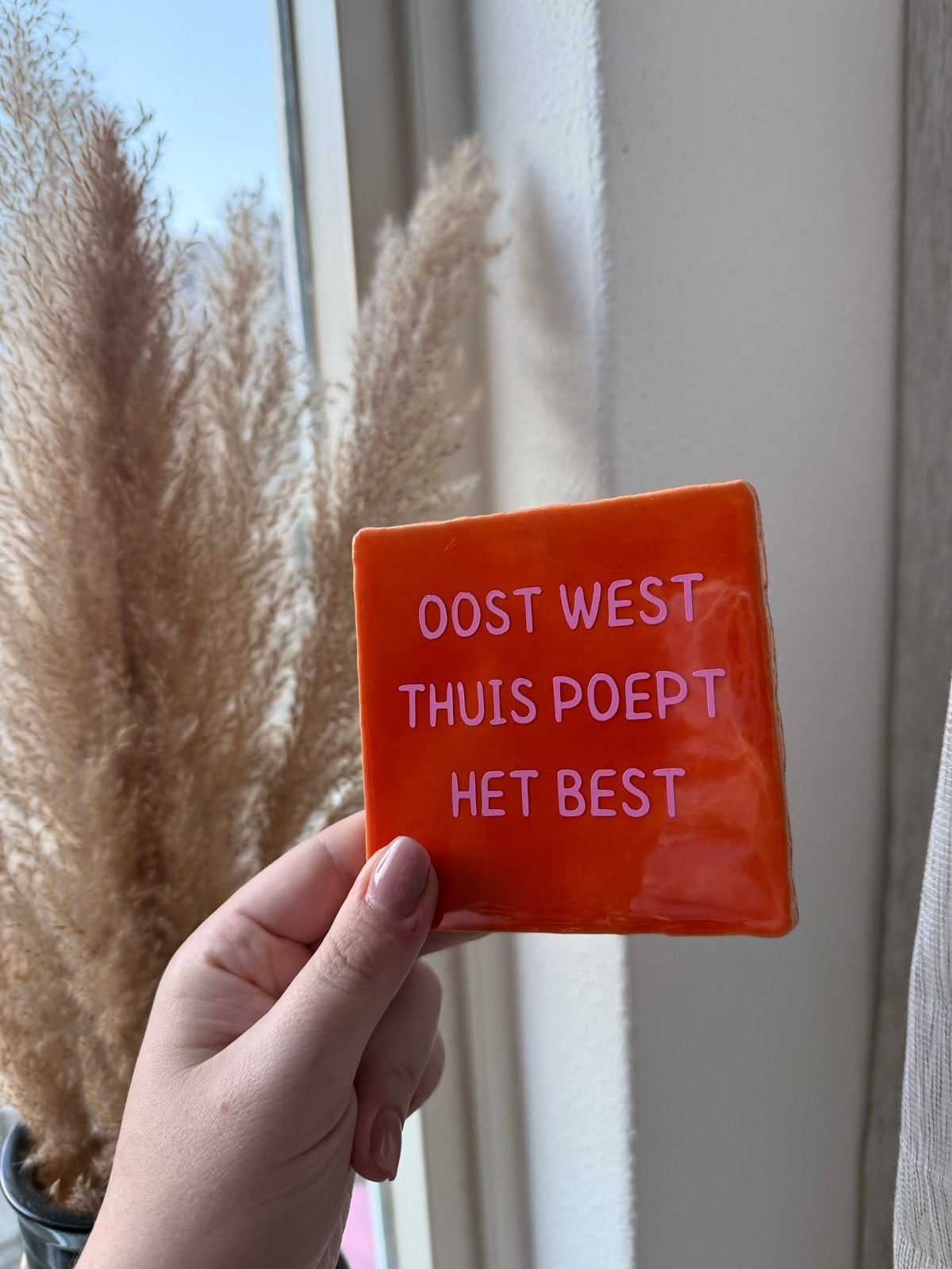 Tegeltje Oost West Thuis Poept Het Best - Vinyl Decoratie, Overige stijlen, Nieuw, Ophalen of Verzenden, Oranje