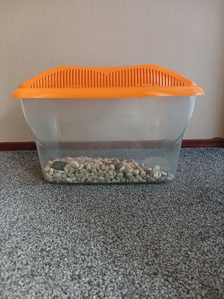 klein aquarium, plastic met stenen, Dieren en Toebehoren, Reptielen en Amfibieën | Toebehoren, Ophalen