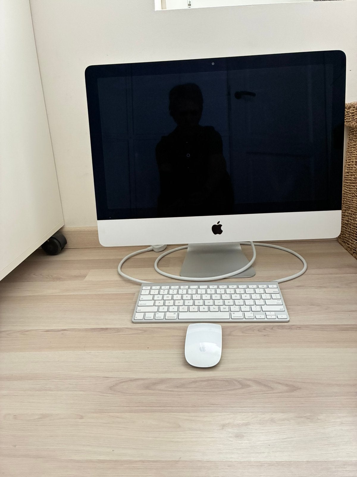 Imac 21,5 inch 2013, Computers en Software, Apple Desktops, Ophalen, Gebruikt, 2 tot 3 Ghz, SSD