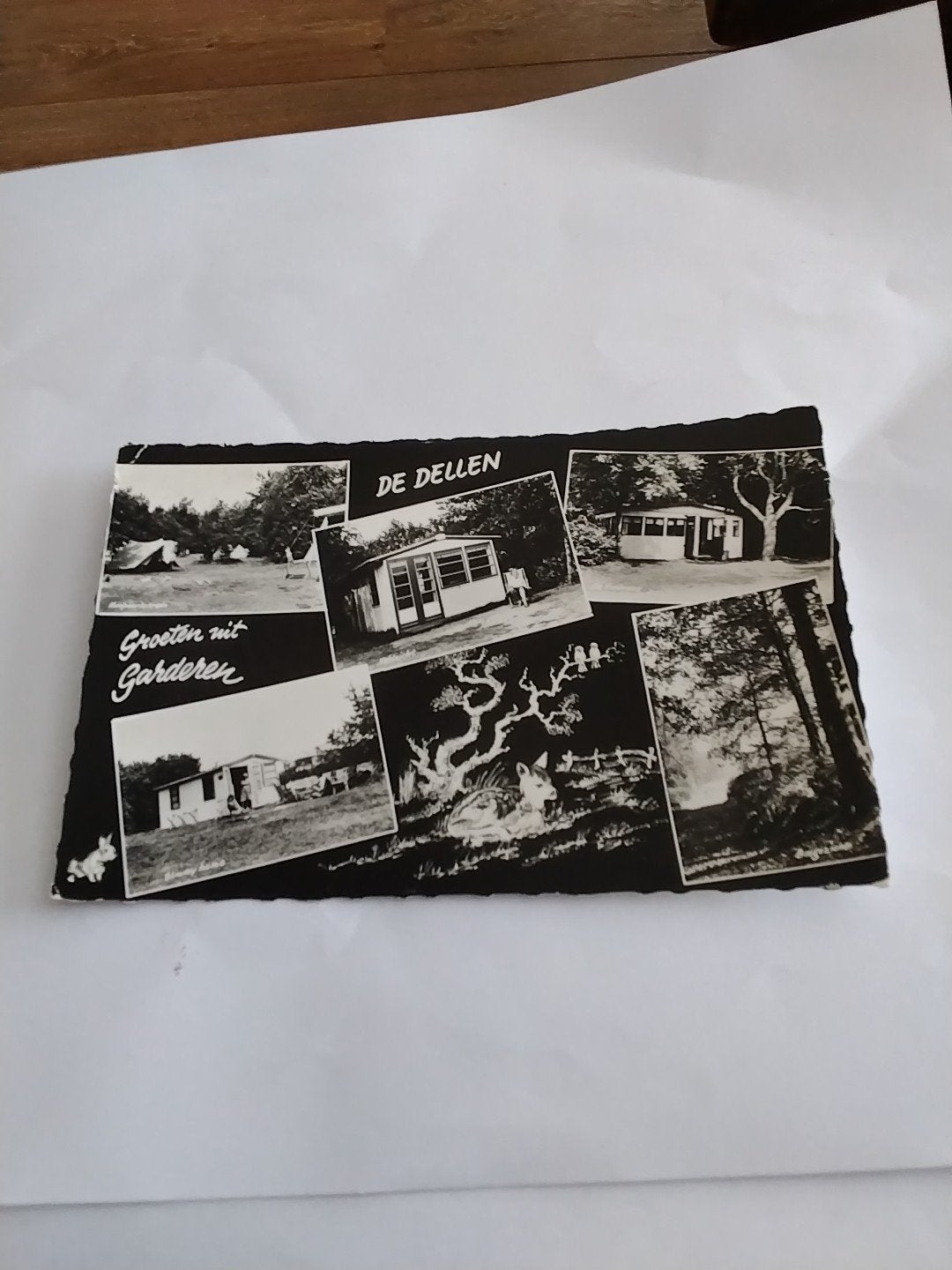 Oude ansichtkaart Vakantieoord De Dellen Garderen, Ophalen of Verzenden, 1960 tot 1980