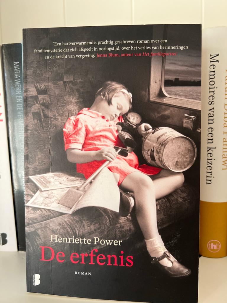 De erfenis - Henriette Power (Roman), Ophalen of Verzenden, Zo goed als nieuw, Amerika