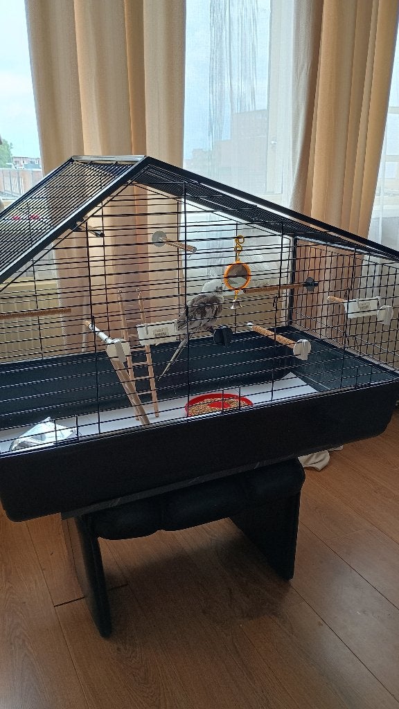 Nieuwe Vogelkooi ., Dieren en Toebehoren, Vogels | Hokken en Kooien, Ophalen, Nieuw, Metaal, Vogelkooi