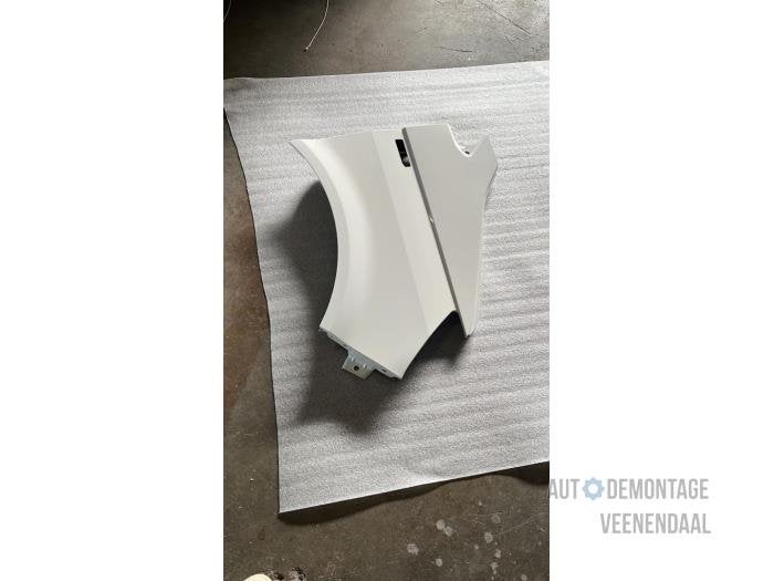 Scherm rechts-voor van een Volkswagen Transporter (LB9A), -, Volkswagen, -, Nieuw