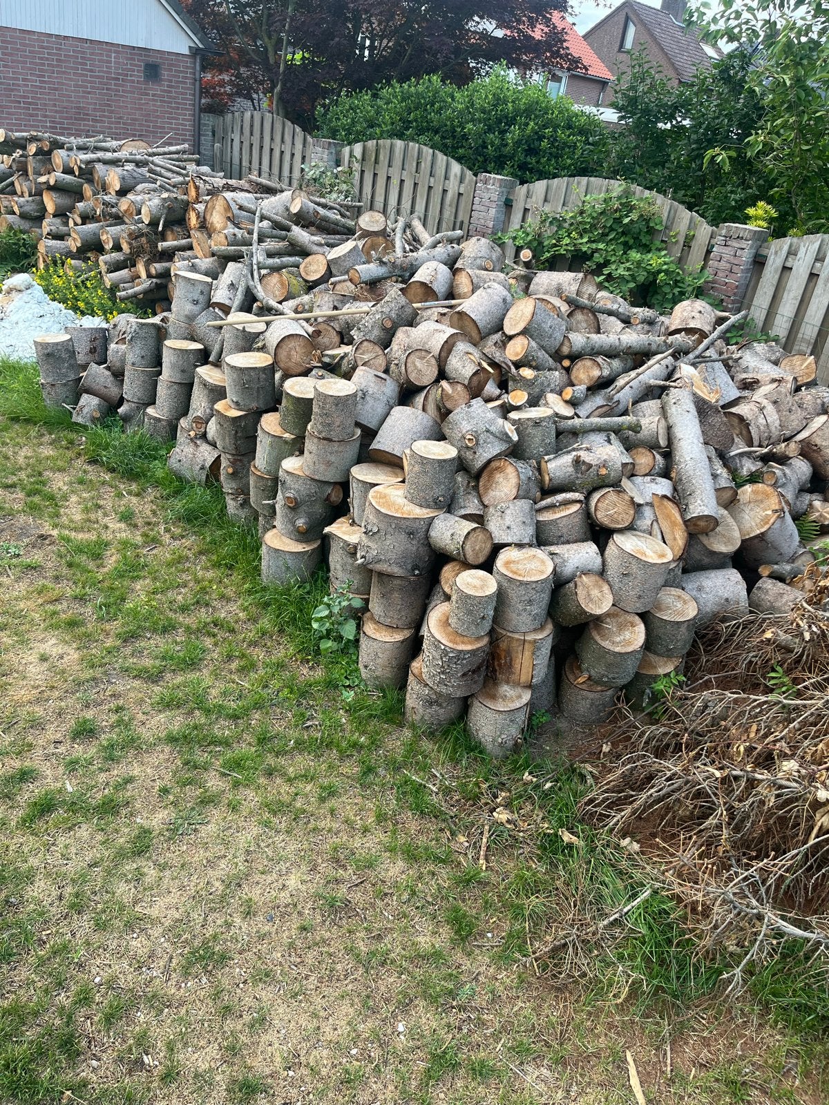 Grote partij dennenhout (ca. 49 m³) voor brandhout/verwerkin, Tuin en Terras, Haardhout, 6 m³ of meer, Ophalen, Overige houtsoorten