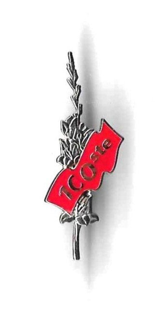 Pin tgv 100ste Vierdaagse Nijmegen, Ophalen of Verzenden, Landmacht, Nederland, Embleem of Badge