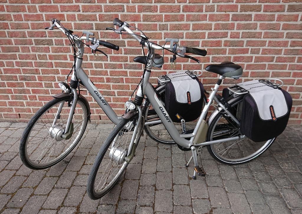 E-bike Giant Twist Comfort CS Lite (2 stuks), Ophalen, Gebruikt, Giant, 51 tot 55 cm