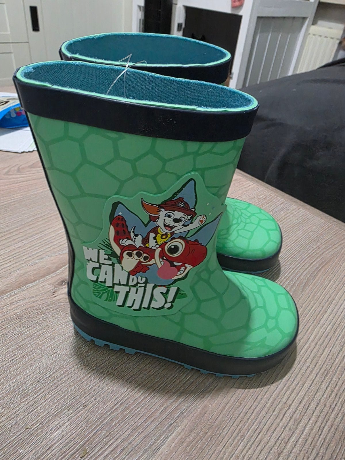 Leuke nieuwe Paw Patrol regenlaarzen maat 24, Ophalen of Verzenden, Nieuw, Paw Patrol, Jongen of Meisje