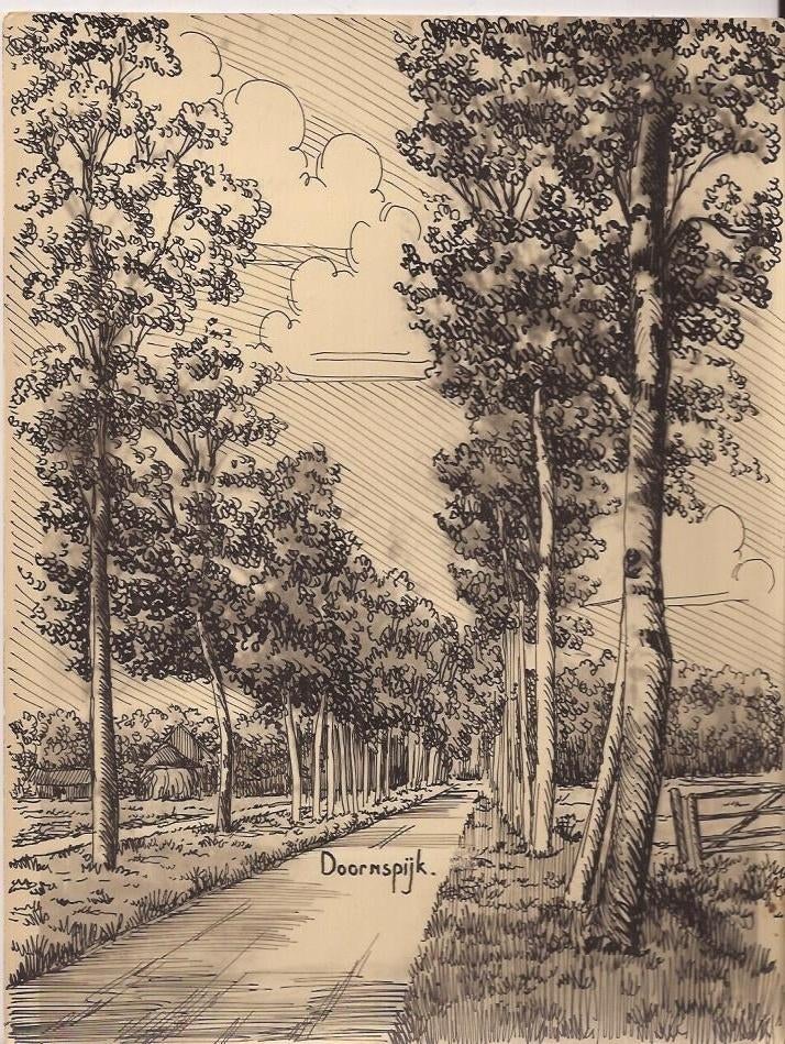 Sievers. Doornspijk Buiten. 50/60er jaren Laan, Ophalen of Verzenden