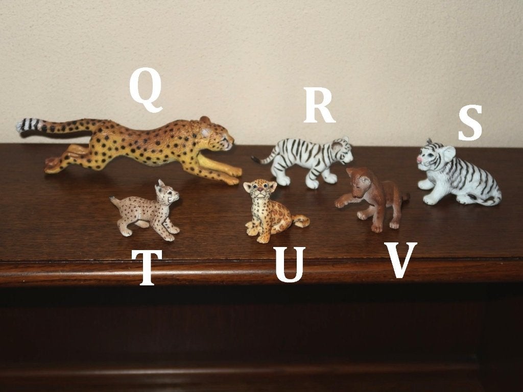 div. katachtigen, oa. cheeta, tijger, leeuw, Schleich en AAA, Verzamelen, Dierenverzamelingen, Verzenden, Gebruikt, Wild dier