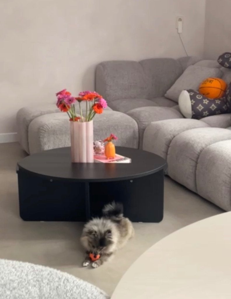 Salontafel rond 2 delen (hond niet te koop), Huis en Inrichting, Tafels | Salontafels, Ophalen, Overige materialen, Gebruikt, 50 tot 100 cm