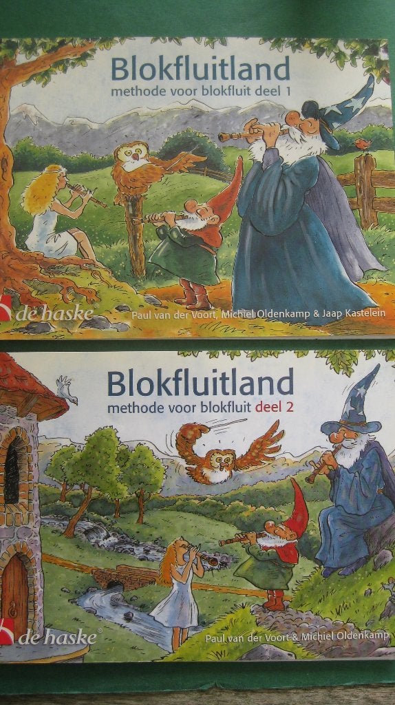 Diverse lesboeken blokfluiten, Overige genres, Les of Cursus, Ophalen of Verzenden, Zo goed als nieuw