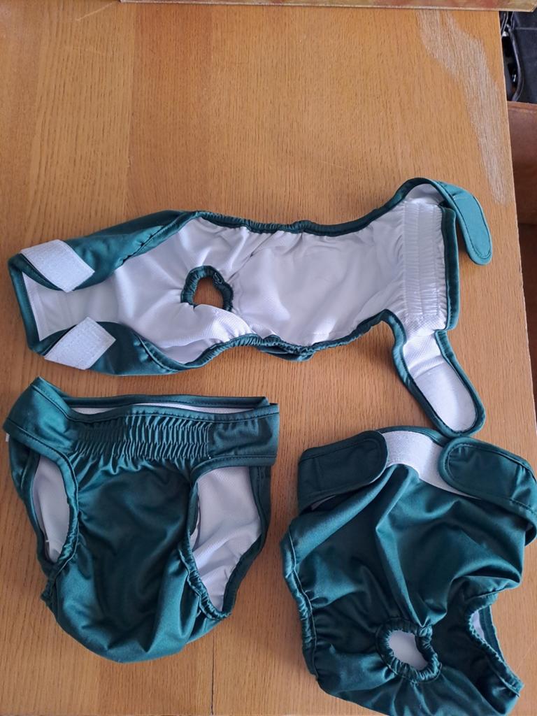 3 wasbare luiers voor de hond, Ophalen of Verzenden, Nieuw