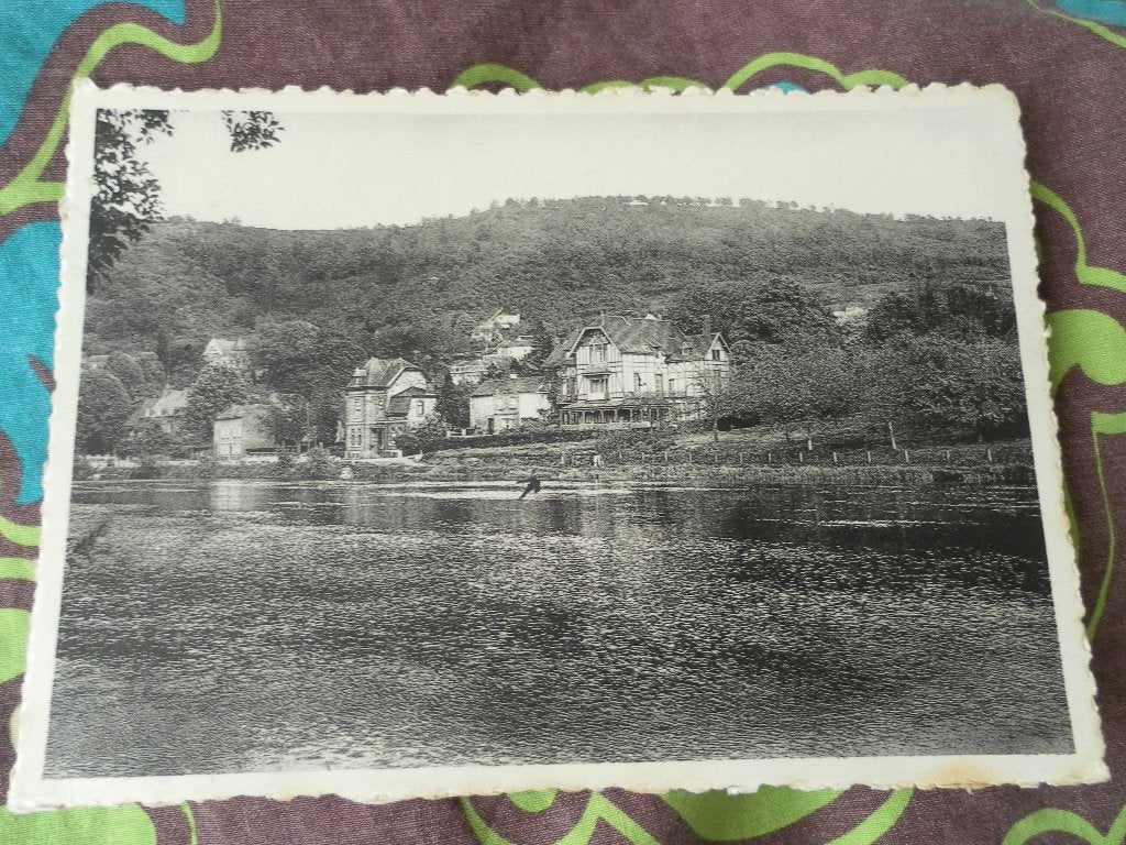 Kaart vue de l auberge - godinne - belgië, Ophalen of Verzenden, 1940 tot 1960, Gelopen, Namen