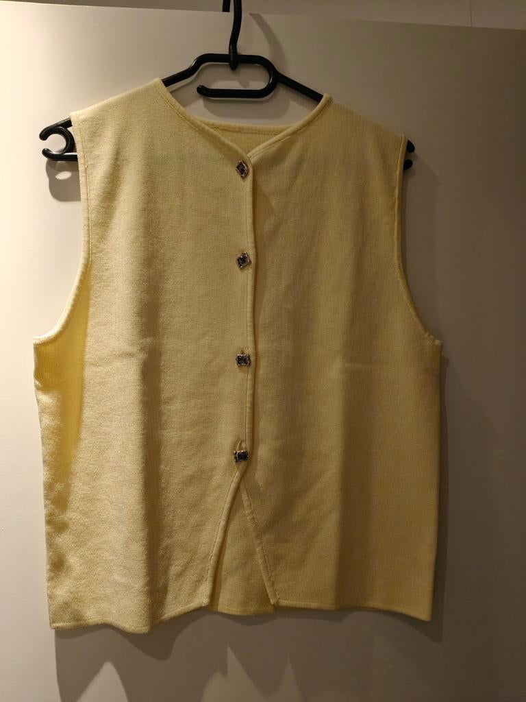 Nieuw Geel Gilet - Maat L, Ophalen of Verzenden, Nieuw, Maat 42/44 (L), Geel