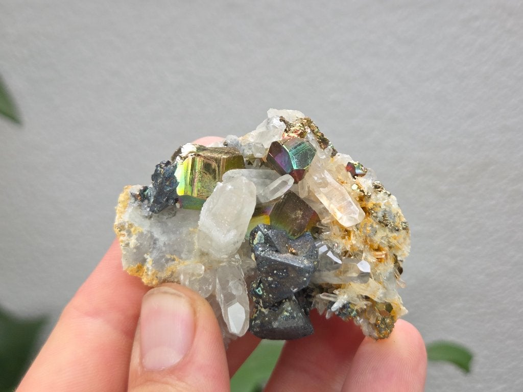 Regenboog Pyriet Indonesië, Ophalen of Verzenden, Mineraal