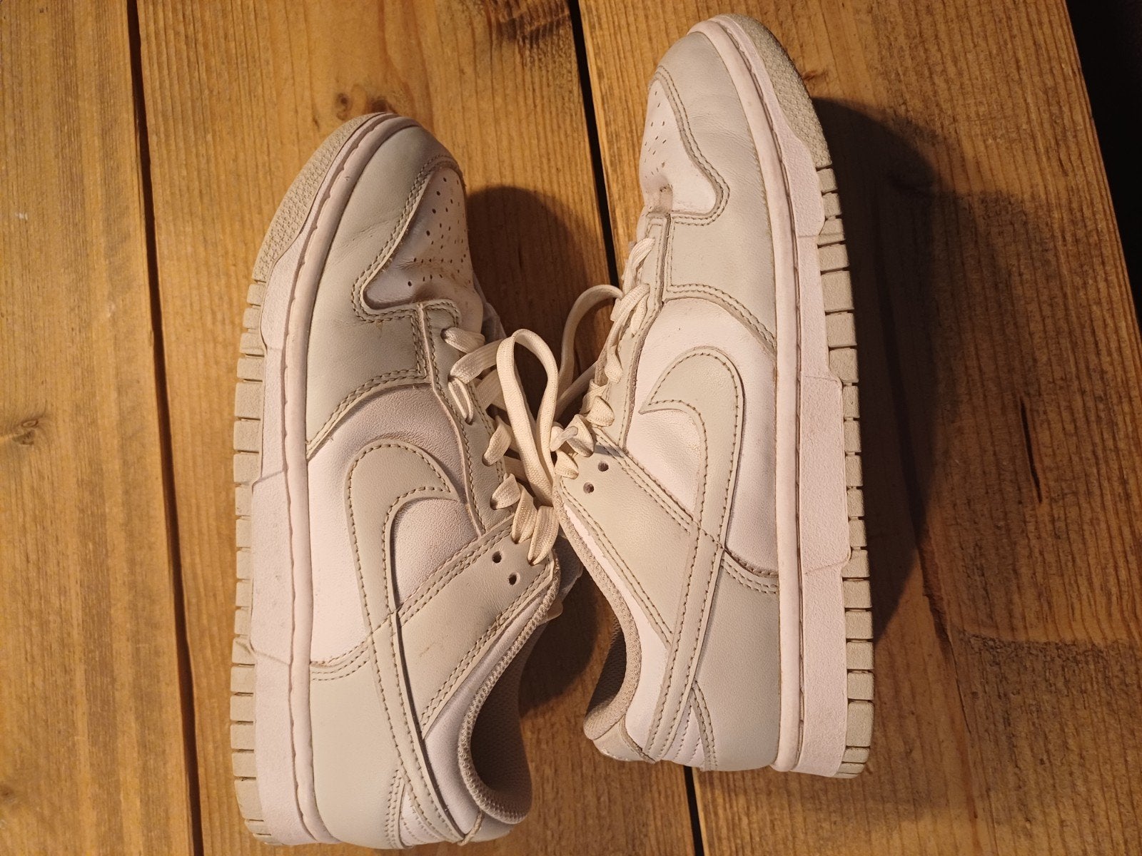 Nike Dunks Meisjes Schoenen - Maat 38 - Beste Kwaliteit, Wit, Nike, Nieuw, Ophalen of Verzenden