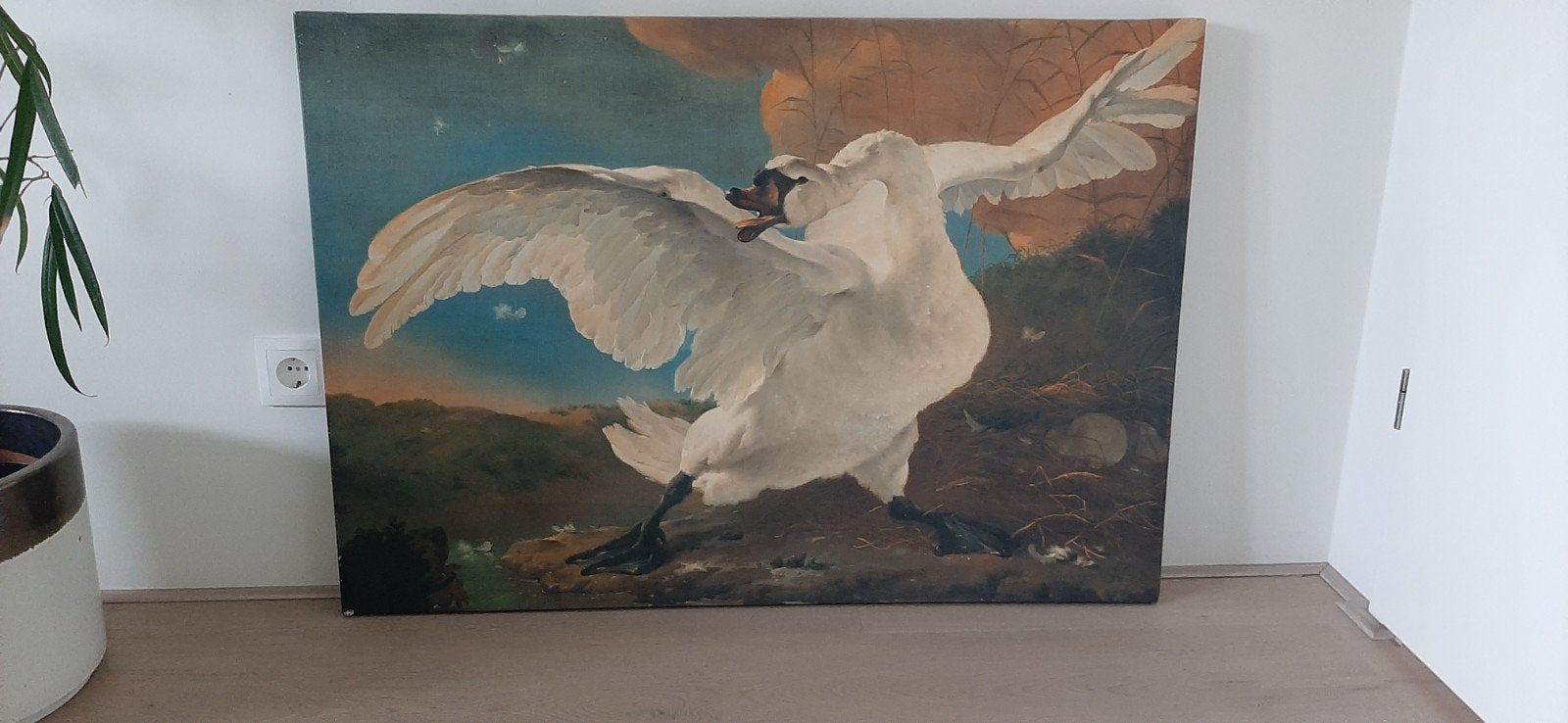 Canvas "De Bedreigde Zwaan" 100cm x 70cm, Ophalen